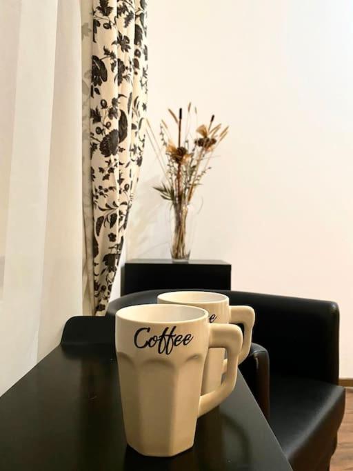 Harmony Homes- Piata Unirii Central Apartament Timişoara Exteriör bild