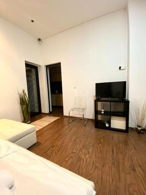 Harmony Homes- Piata Unirii Central Apartament Timişoara Exteriör bild