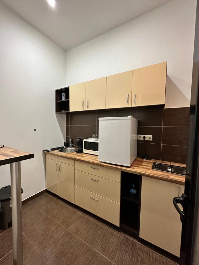 Harmony Homes- Piata Unirii Central Apartament Timişoara Exteriör bild