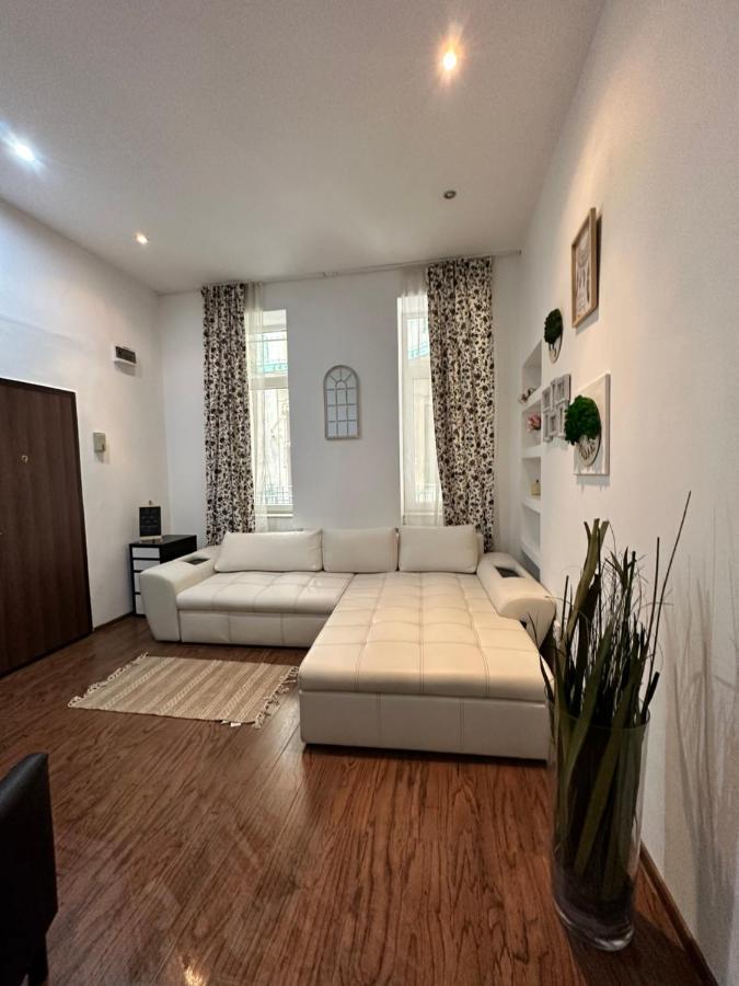 Harmony Homes- Piata Unirii Central Apartament Timişoara Exteriör bild